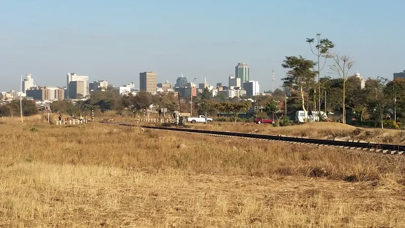 Best Zimbabwean food in Harare