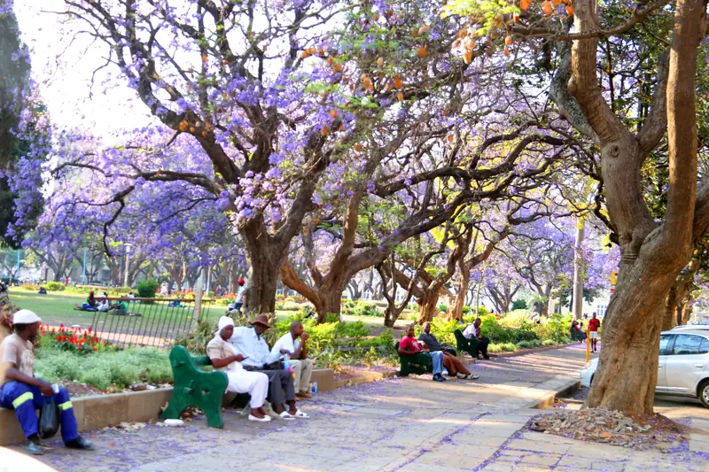 Restaurants with outdoor seating in Harare